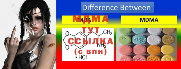 индика Белоозёрский